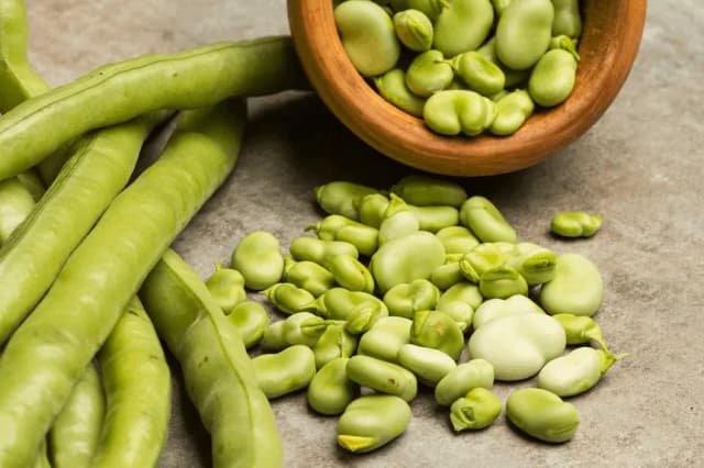 Czy koty mogą jeść bób? Dowiedz się, co jest dla nich niebezpieczne Czy koty mogą jeść bób? Dowiedz się, co jest dla nich niebezpieczne