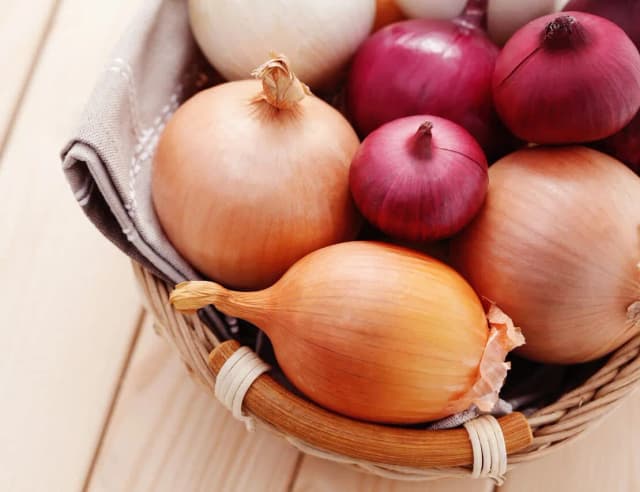 Cebula a zdrowie psa: dlaczego nie powinieneś jej podawać Cebula a zdrowie psa: dlaczego nie powinieneś jej podawać